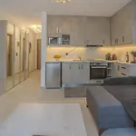 Apartmán Irene Lux Loutráki